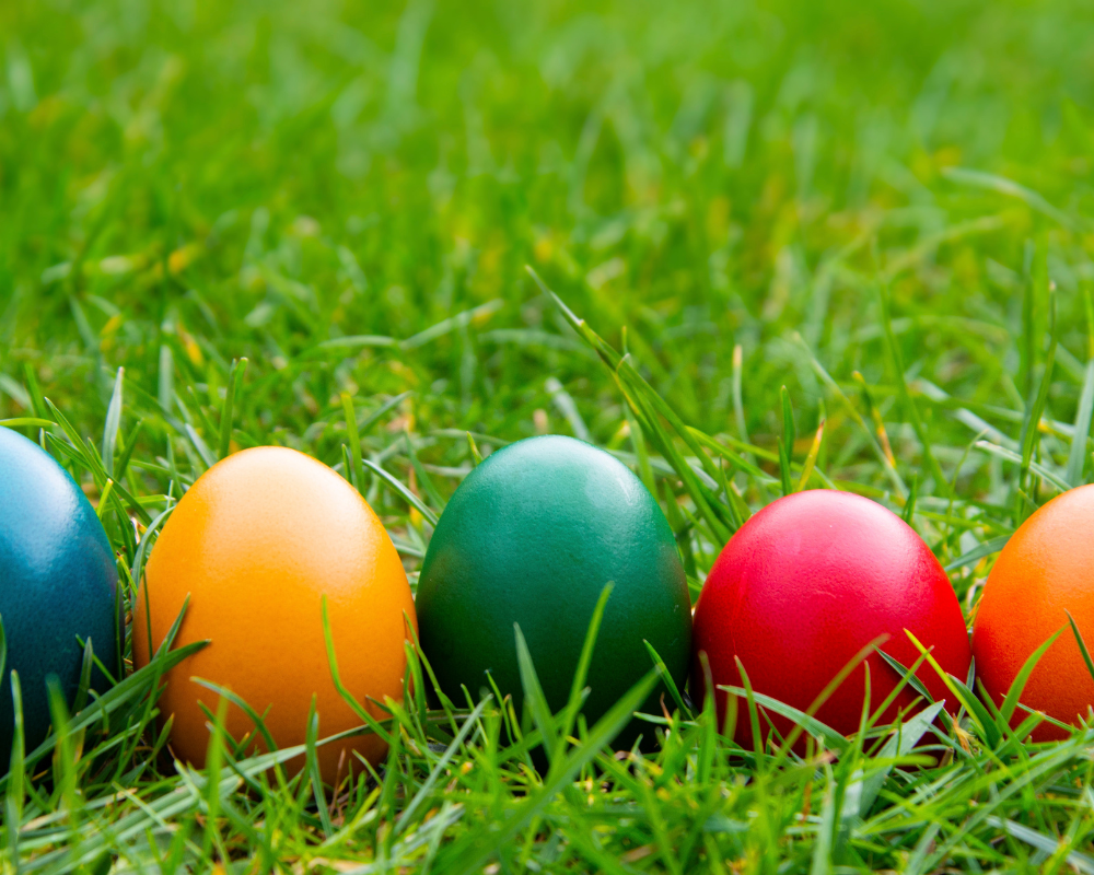 multi coloured easter eggs on green grass